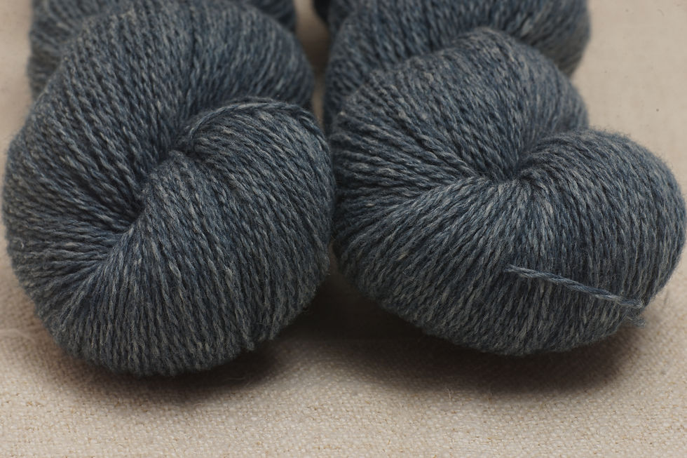 Miniaturbild: Holst Coast - Marlin