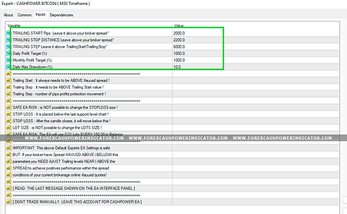 cashpower expert advisor settings.png