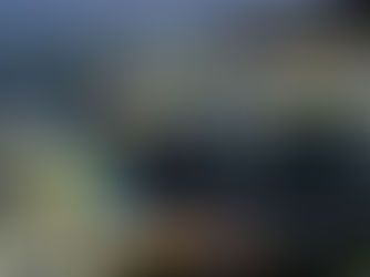 Festivales Náuticos en Los Cabos: listos para la "Internacionalización" en 2024