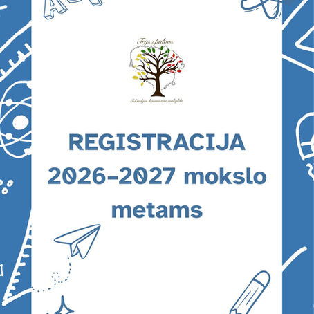 Islandijos lituanistinė mokykla „Trys spalvos“ pradėjo mokinių registraciją 2026–2027 mokslo metams
