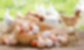 **Alt Text:**
A wicker basket filled with brown and white eggs sits on a wooden surface covered in straw, with chickens grazing in a sunny green pasture in the background.
