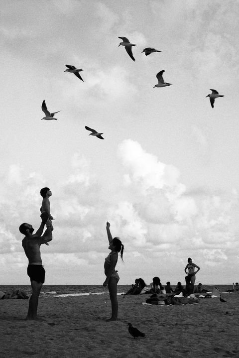 07 Feeding Birds (Low Res).jpg