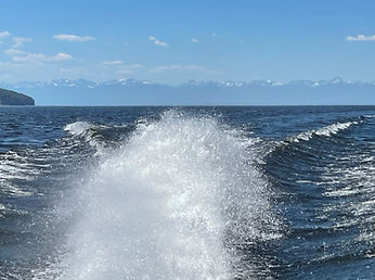 IMG_2673.jpg