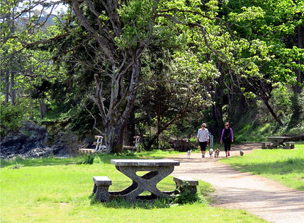 4-27 walk in the park.jpg