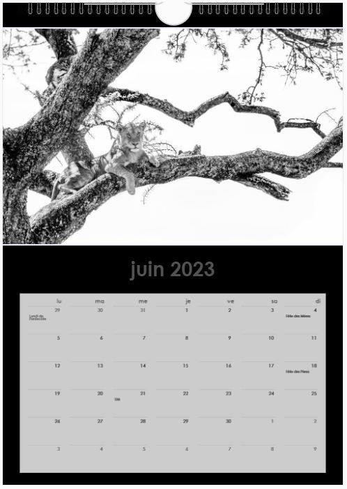 Miniature : CALENDRIER 2023