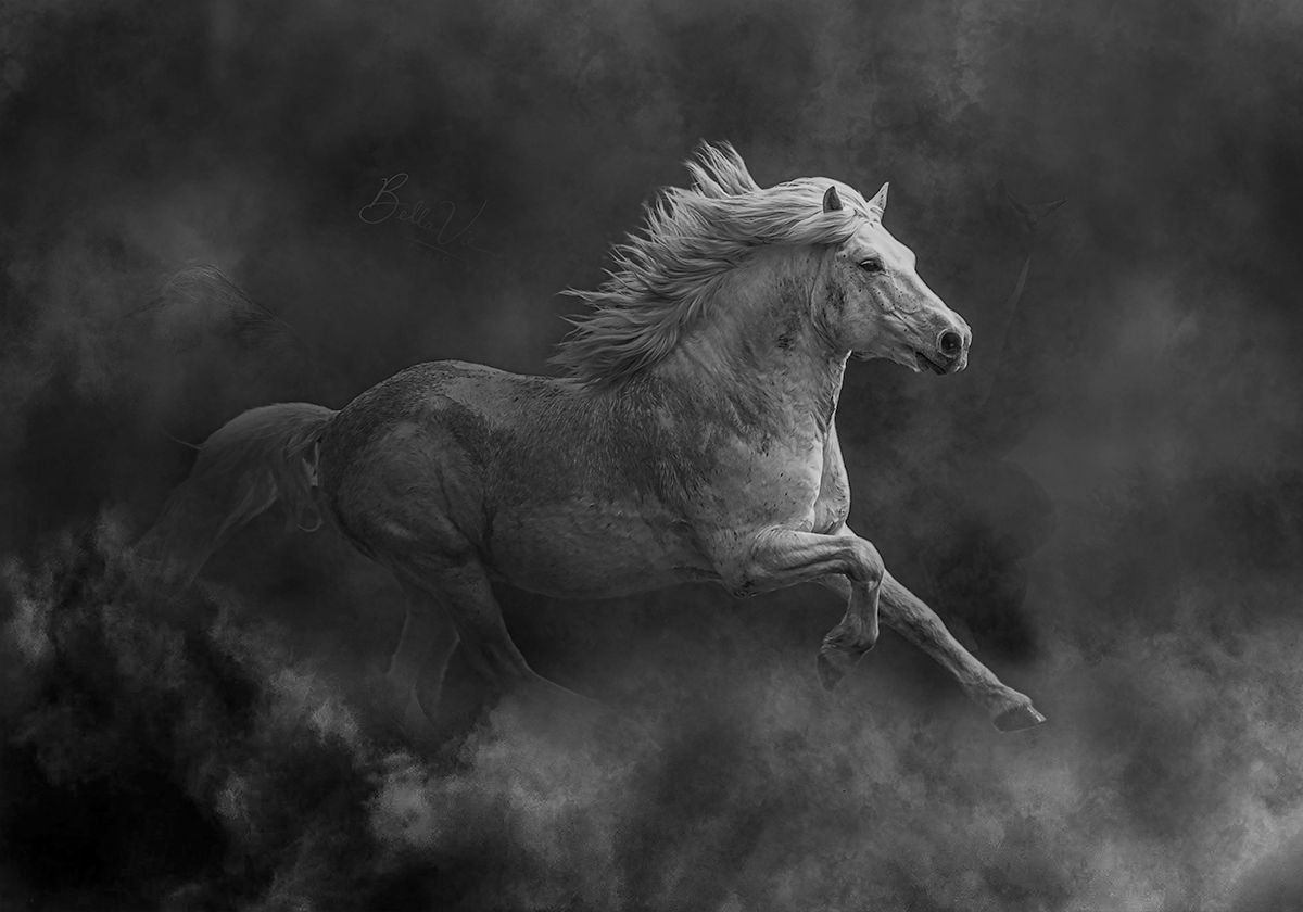 Quicou dans la poussière