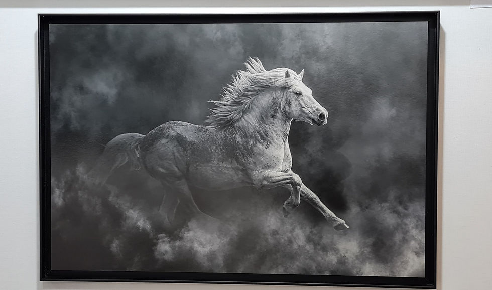 Miniature : Quicou dans la poussière