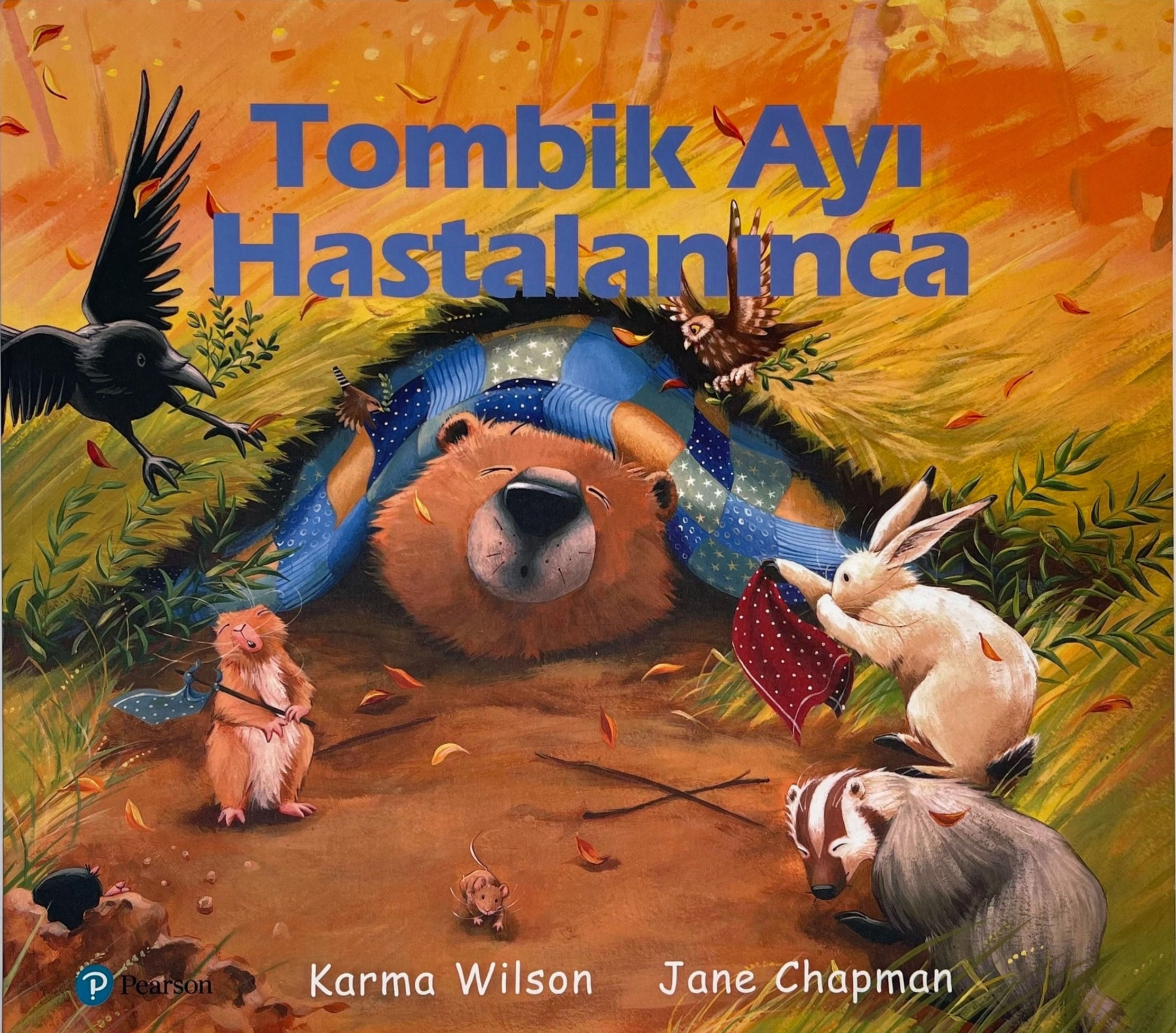 Tombik Ayı Hastalanınca