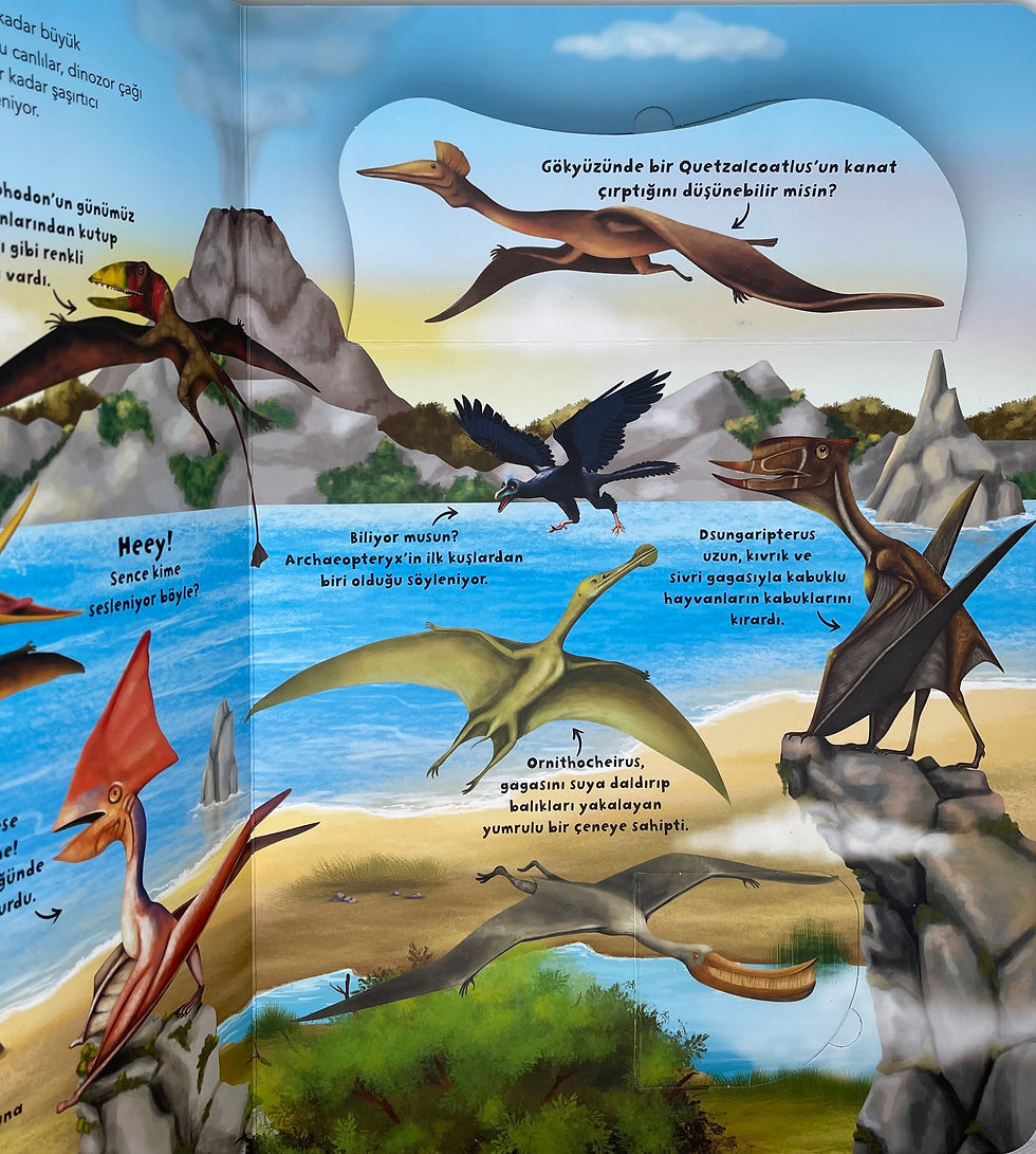 Miniaturbild: İlk Büyük Dinozor Kitabım - Ne Sorsan Bilir Minik 