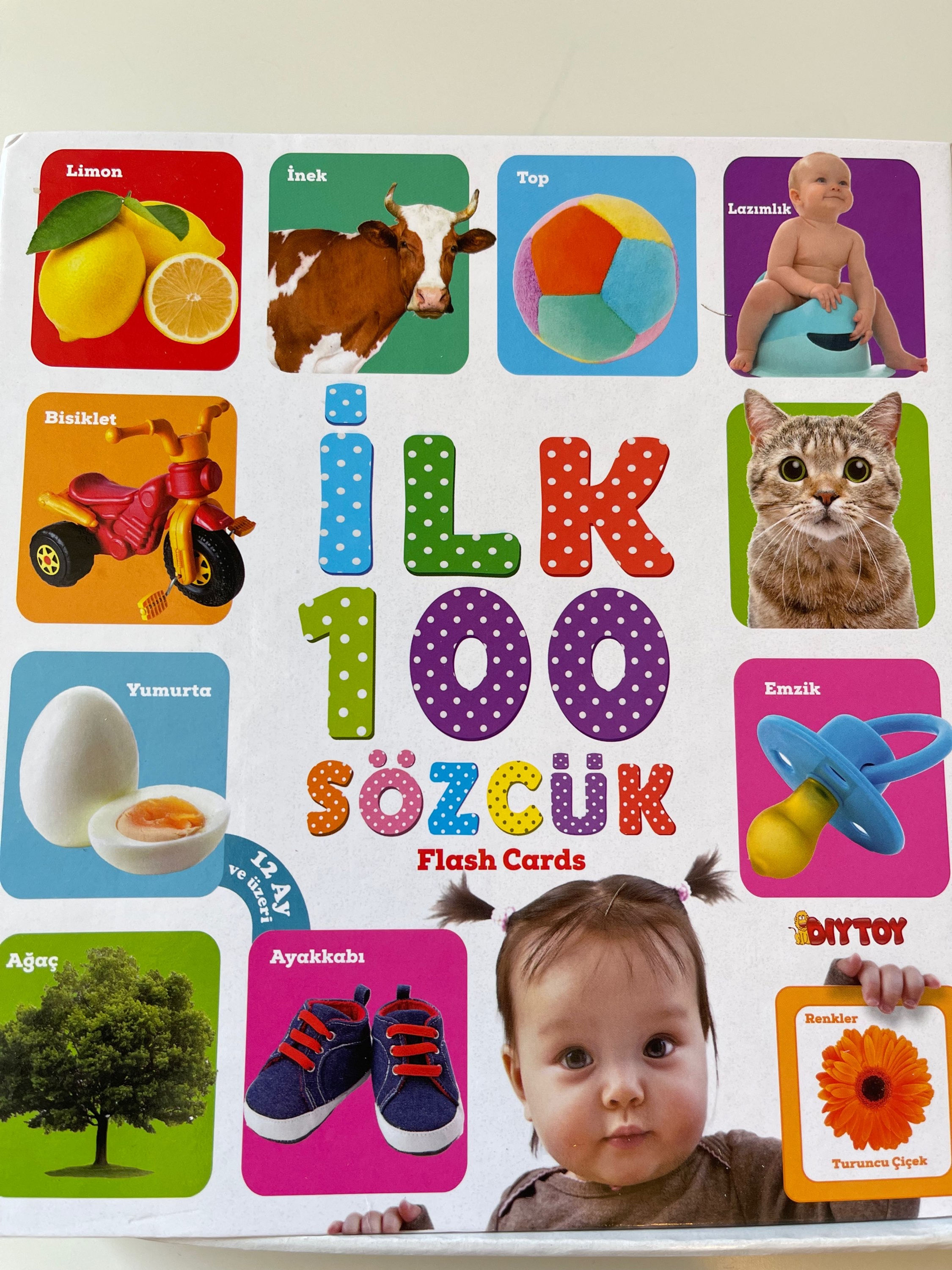 İlk 100 Sözcük [Meine Ersten Flash-Karten]