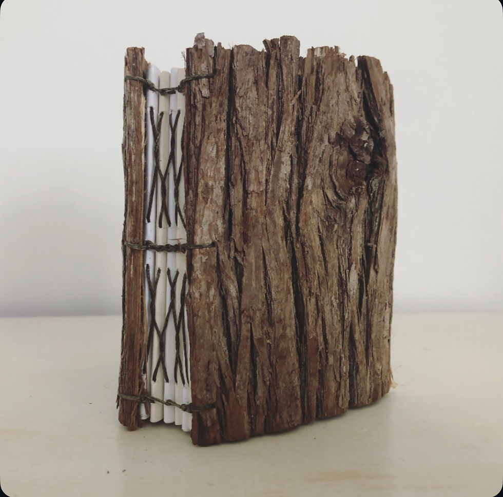 Thumbnail: Cedar Bark 0316