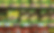 cus003-013-knorr-shelf-edge-2011-a1-pa8-miljo.gif