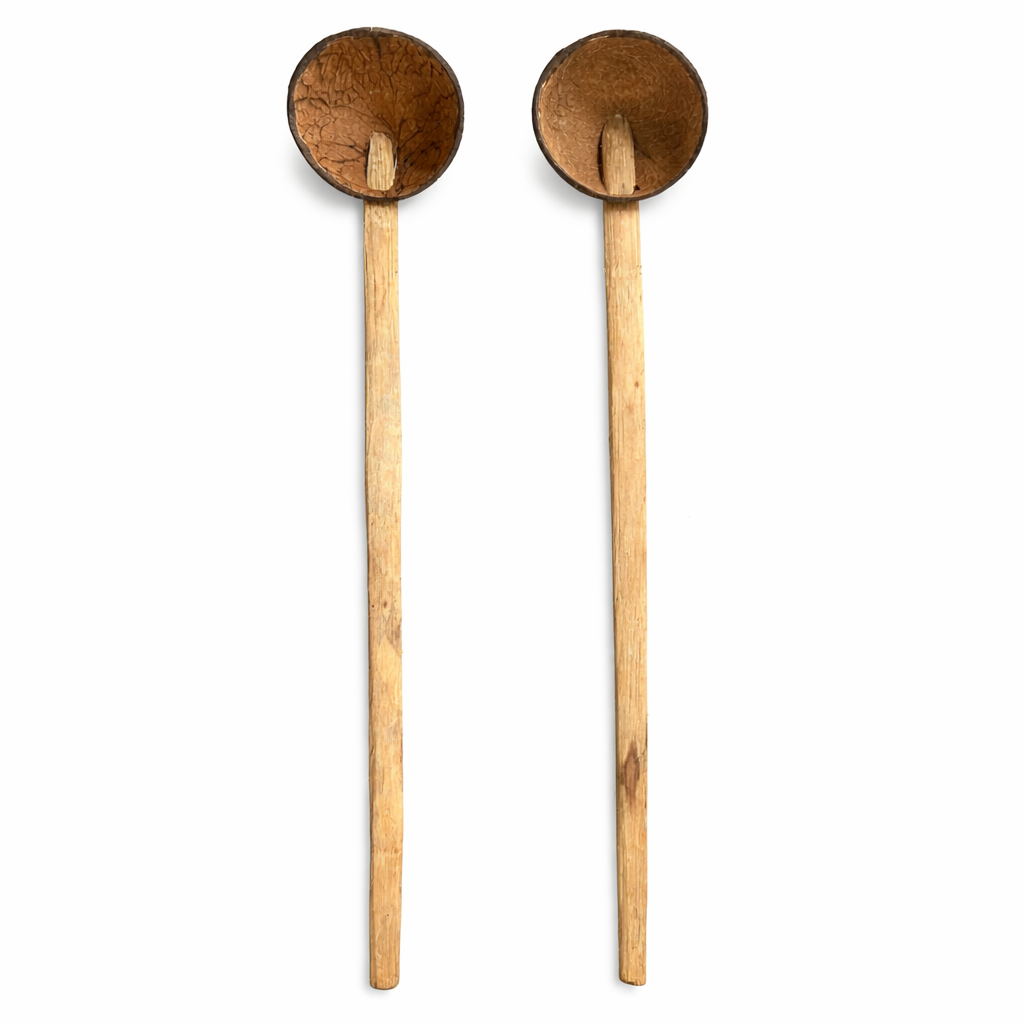 Coconut Shell Spatula | Ladle