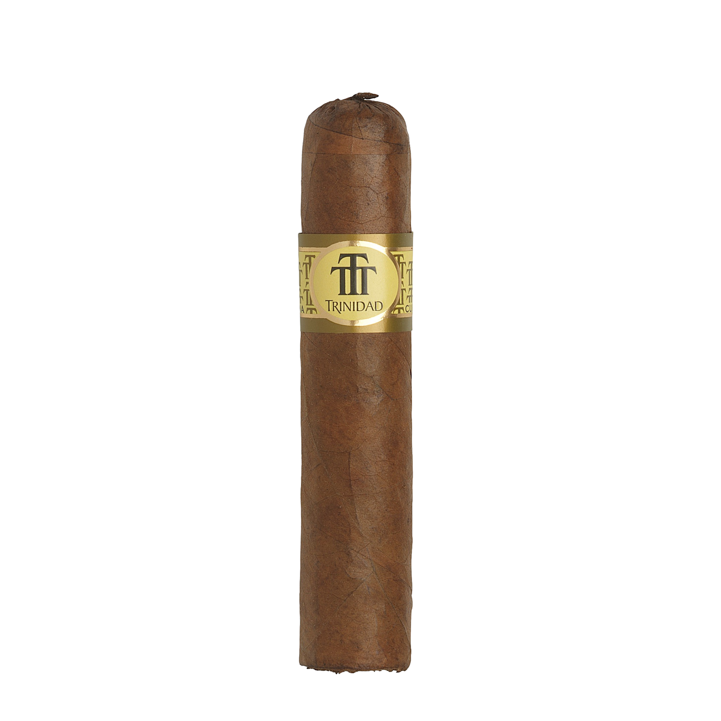 Trinidad Vigia 1 Single Cigar