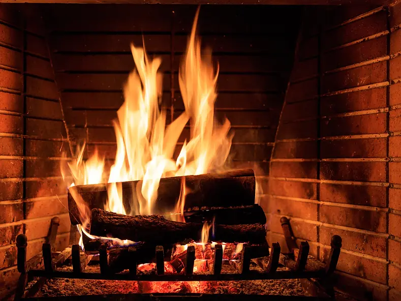 logs-burning-in-a-fireplace.webp