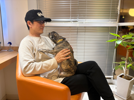 時々看板犬 〝ゆめ〟