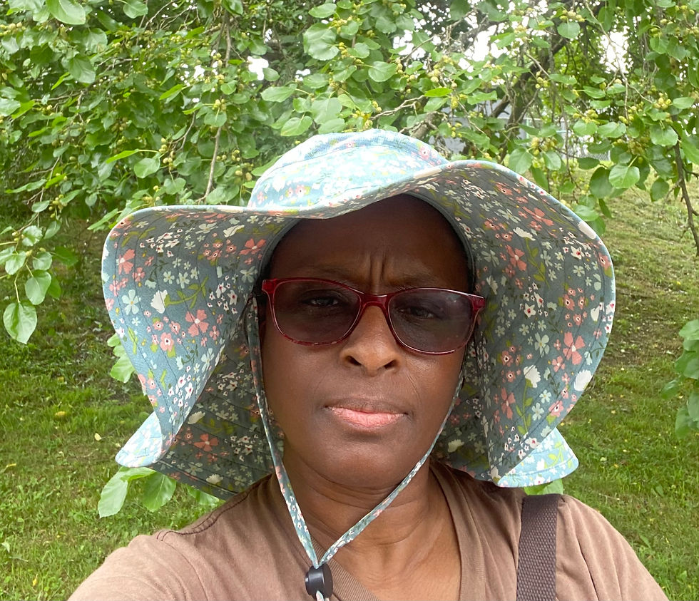 Foraging Walk: New Moon Journal Prompts