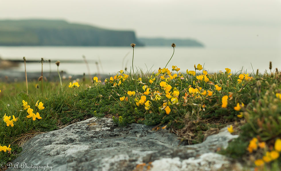 Doolin, Ireland