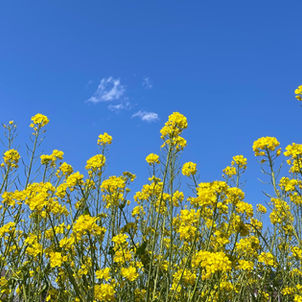 〜女性スタッフ採用のお知らせ〜