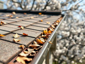 Homeowner inspecting roof and gutters for winter damage during spring home maintenance