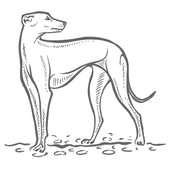 The Greyhound Inn