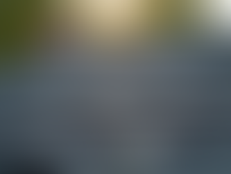 Common Roof Repair Issues Explained - Roof Repair Insights