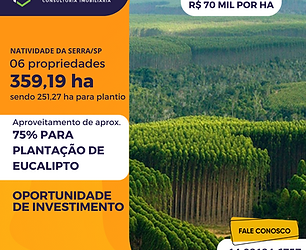 359,19 ha em Natividade da Serra/SP à venda.