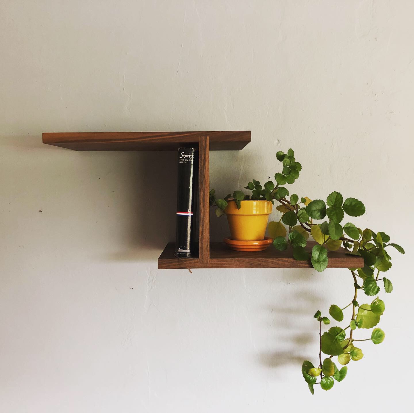 Zenith Shelf