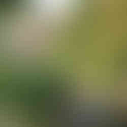 Photographe Limoges Mariage Le Poudrier Cérémonie Laïque