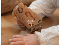 Les Minis Séances Photos de Noël à Limoges - 2024
