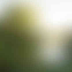 Photographe Limoges Mariage Le Poudrier Couple Photos