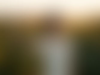 Séance couple après votre mariage à Limoges : quand la magie continue !