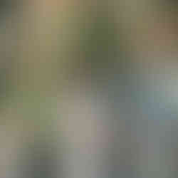 Photographe Limoges Mariage Le Poudrier Cérémonie Laïque