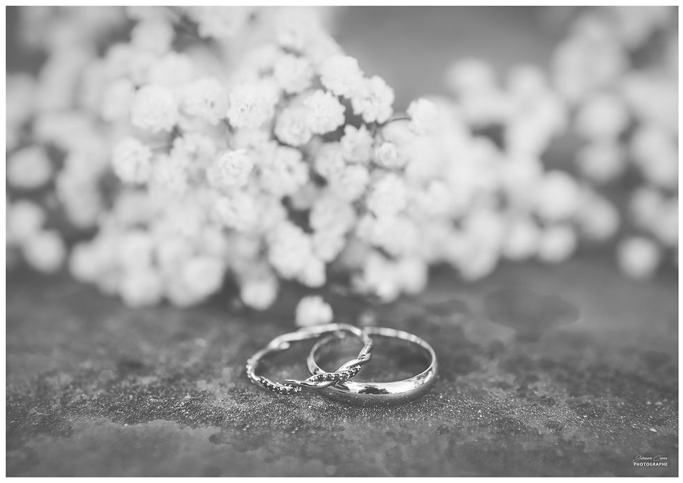 Photographe Mariage Limoges Guillaume Comte