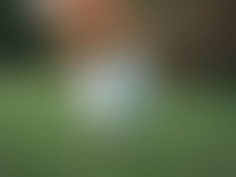 Un mariage au Poudrier à Limoges : raconter votre histoire, tout simplement