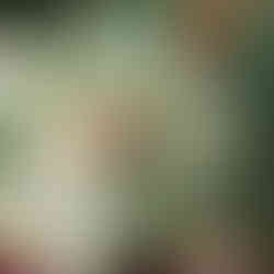 Photographe Limoges Mariage Préparatifs Mariée