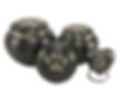 PAW PRINT URNS