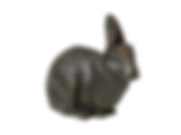 RABBIT CASKET