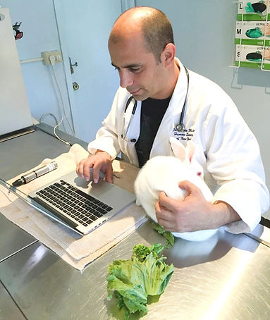 rabbit-vet_edited_edited.jpg