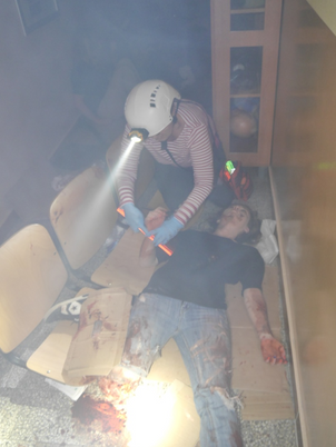 Triage 2.png