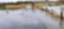 Flooded fields and road due to heavy rainfall.jpg