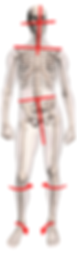 Crochet Physical Therapy Bio-implosion