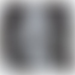 Lo statuto dell’immagine digitale