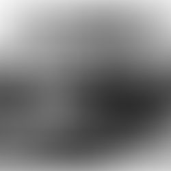 Il decennio della controrivoluzione