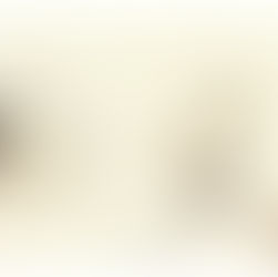 La fabbrica, dalla città al territorio