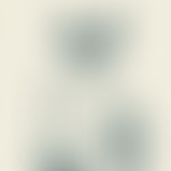 Il prossimo giubileo e i danni del passato