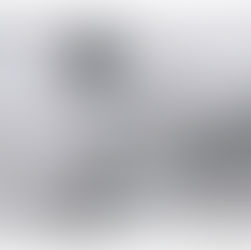 Politica e Destino (II)