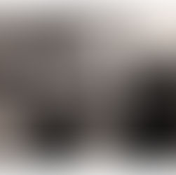 Nanni B. uomo d’ingegno, non di istituzioni