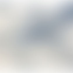 Le lezioni del disastro afghano