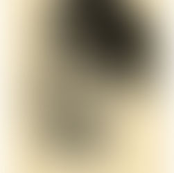 Ritratto di Walter Rodney 